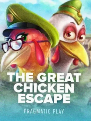 The Great Chicken Escape at Cashmo